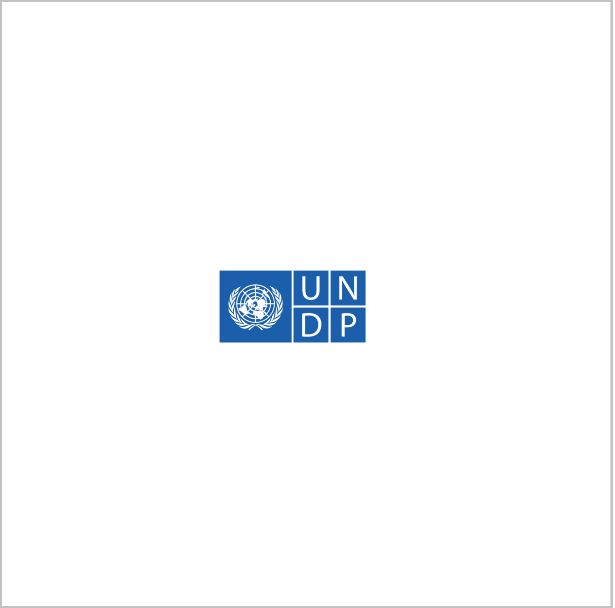 Программа развития Организации Объединённых Наций (ПРООН)